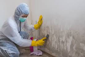 Environmental Consulting for Mold Prevention in Georgetown, DE